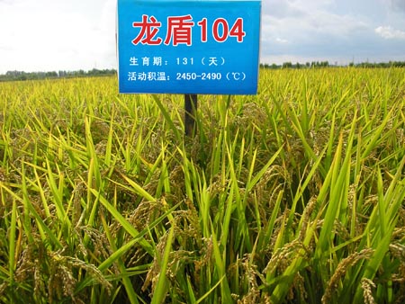 品种展示